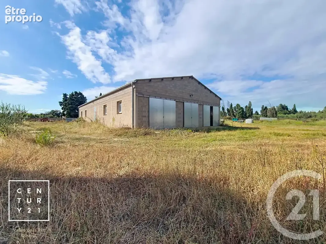 Terrain 24 425 m² à vendre à Corneilla-La-Riviere (66550) - photo 2