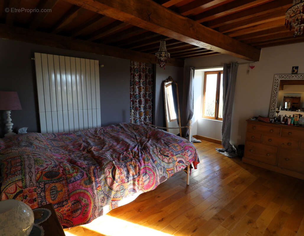 Propriété exceptionnelle, ferme ancienne rénovée, gîte, vue incroyable sur la chaîne des Pyrénées - photo 54