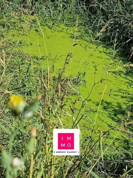 Maison à RABASTENS-DE-BIGORRE