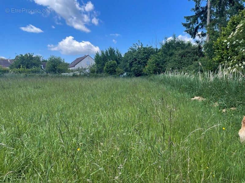 Terrain à AUTHON-DU-PERCHE