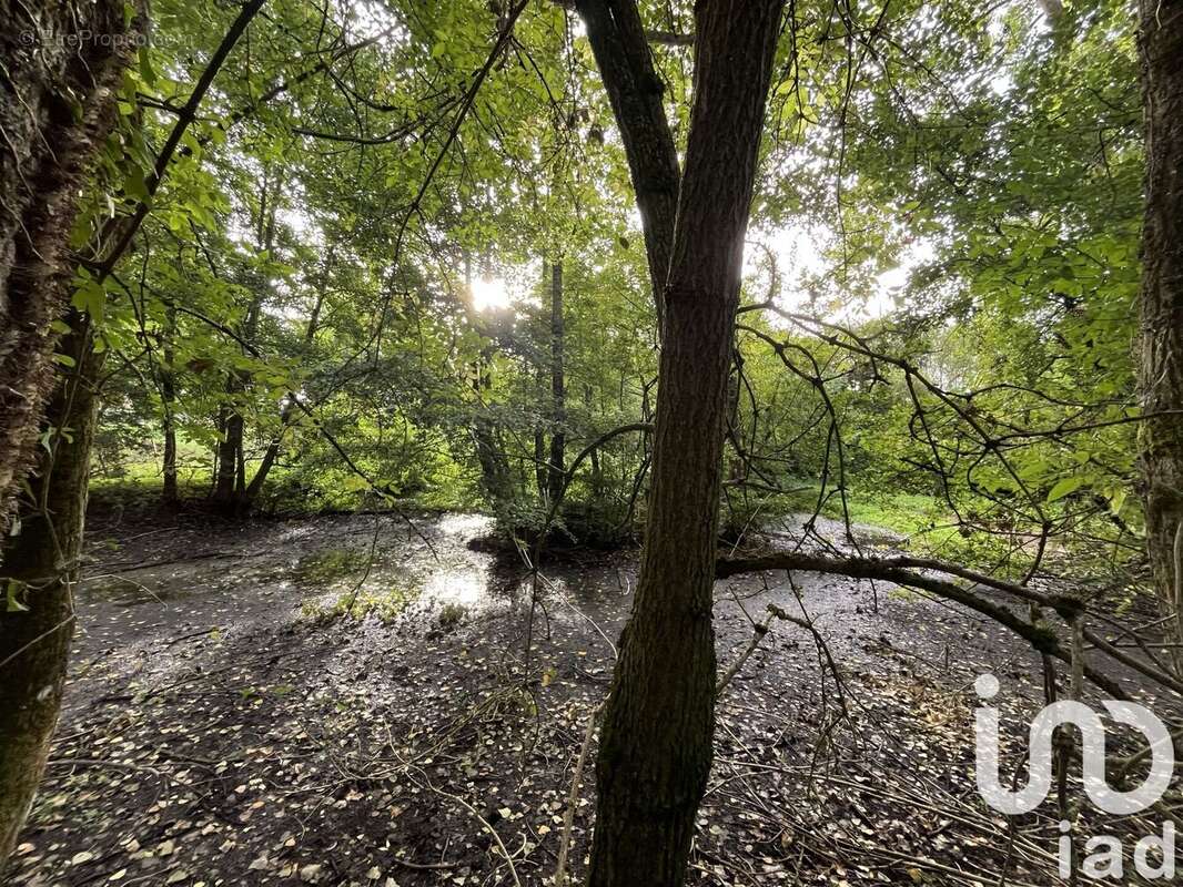 Photo 5 - Maison à PEDERNEC