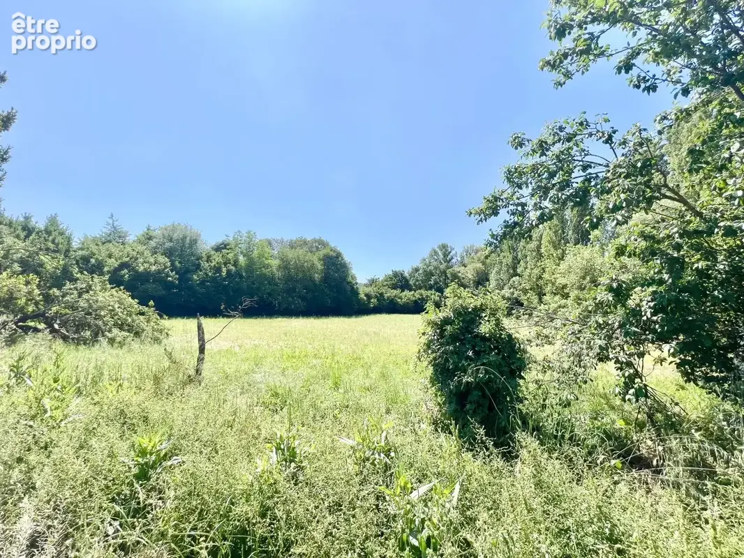 Spacieuse maison traditionnelle (2 appartements) sur un magnifique terrain de 10 511 m² - photo 4