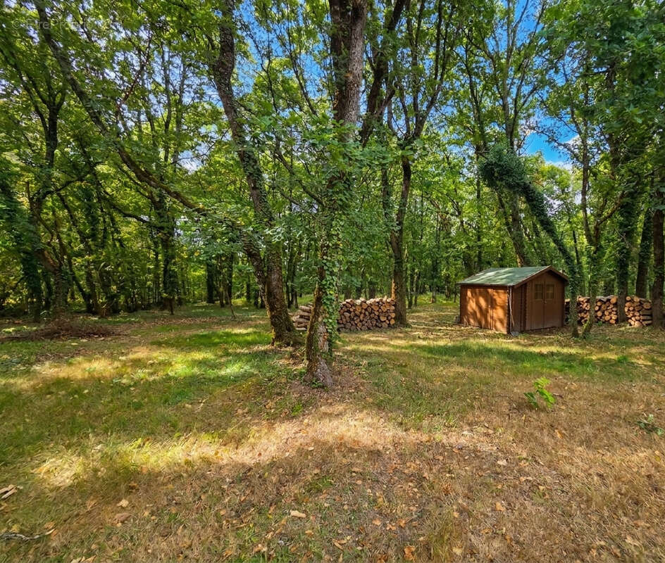 Maison familiale avec piscine, parc boisé et vie de plain-pied   À seulement 5 minutes de Villeréal - photo 4