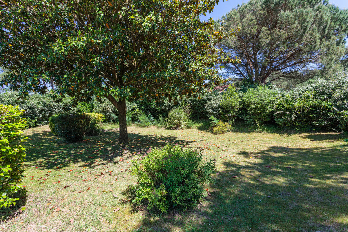 Terrain à ANGLET