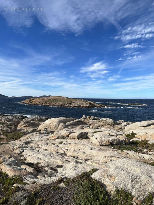 Propriété 4 logements à 1 km des plages - proche de la Réserve Naturelle de Spanu - photo 15