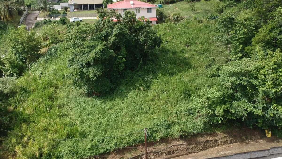 Terrain à RIVIERE-SALEE