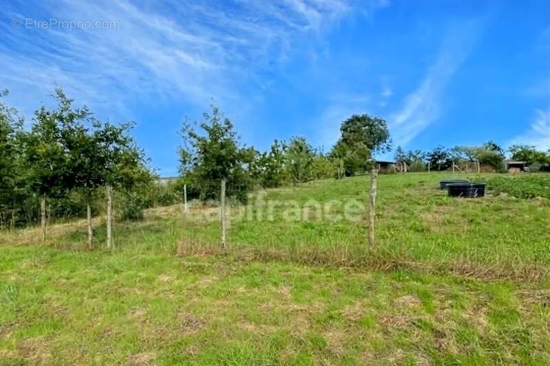Terrain à BAIN-DE-BRETAGNE