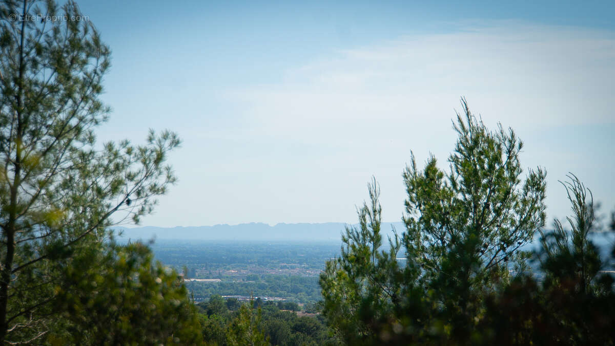 Maison à L'ISLE-SUR-LA-SORGUE