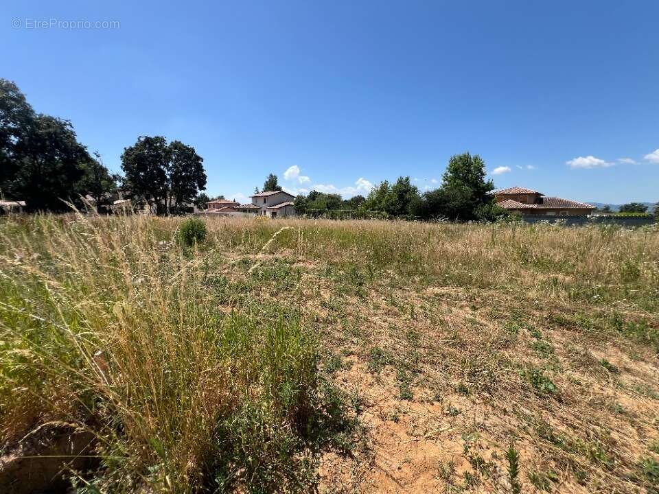 Terrain à BEY