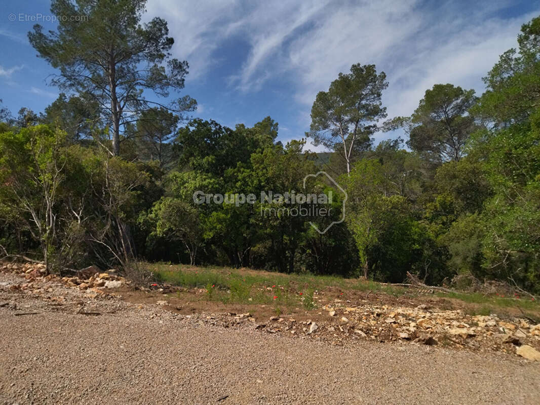 Terrain à LE THORONET