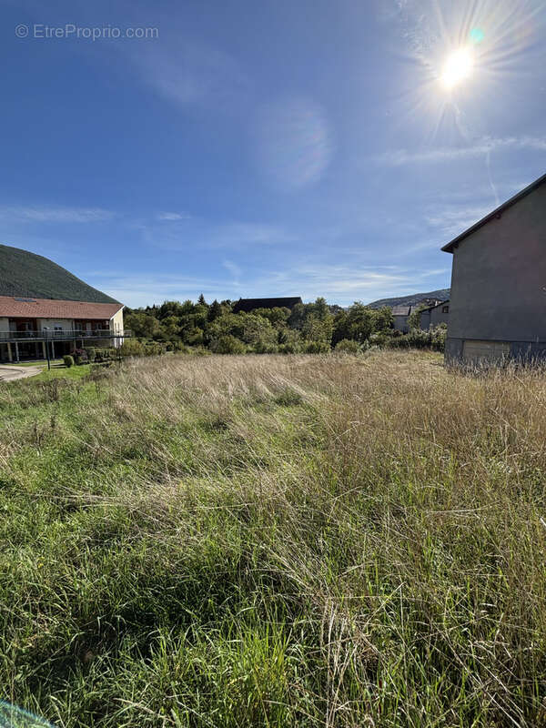 Terrain à CHAMPFROMIER