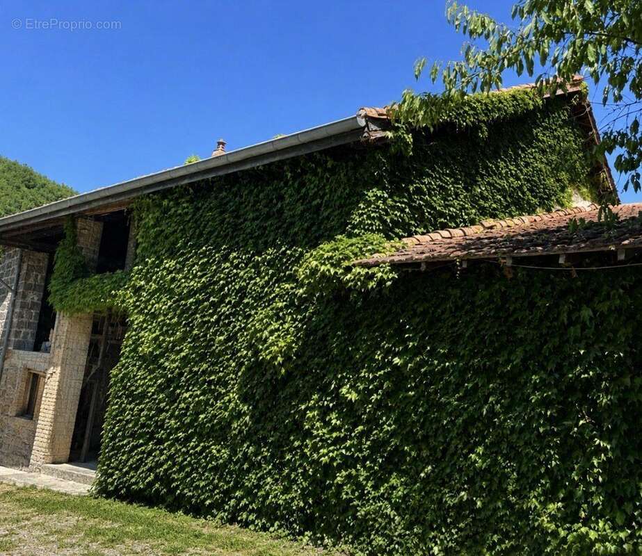 Maison 170 m² à Hauterives  - photo 2
