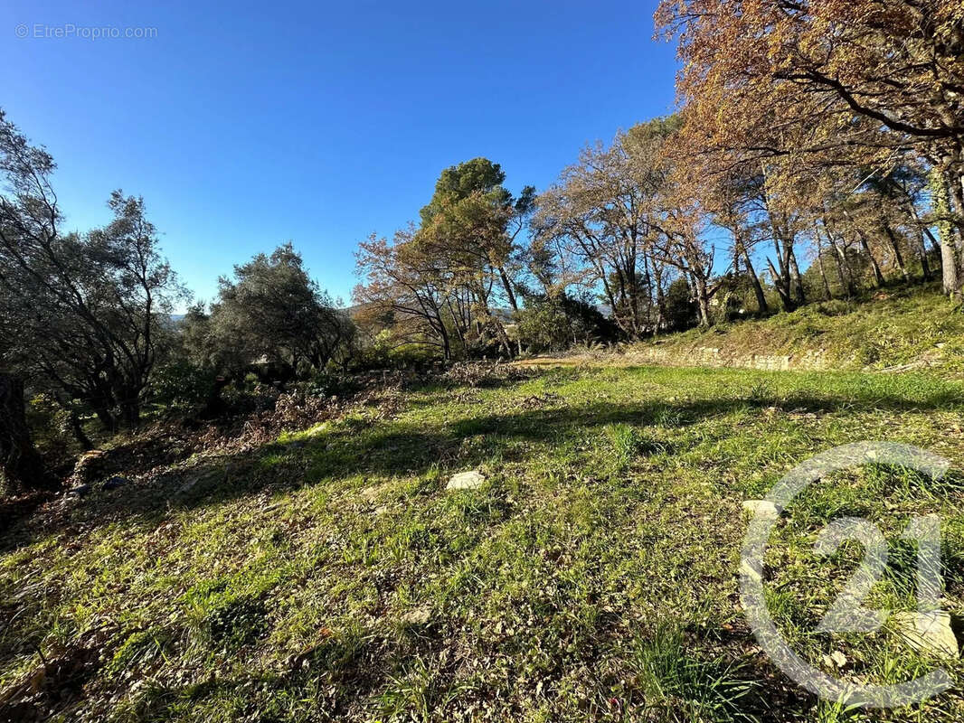 Terrain à OPIO