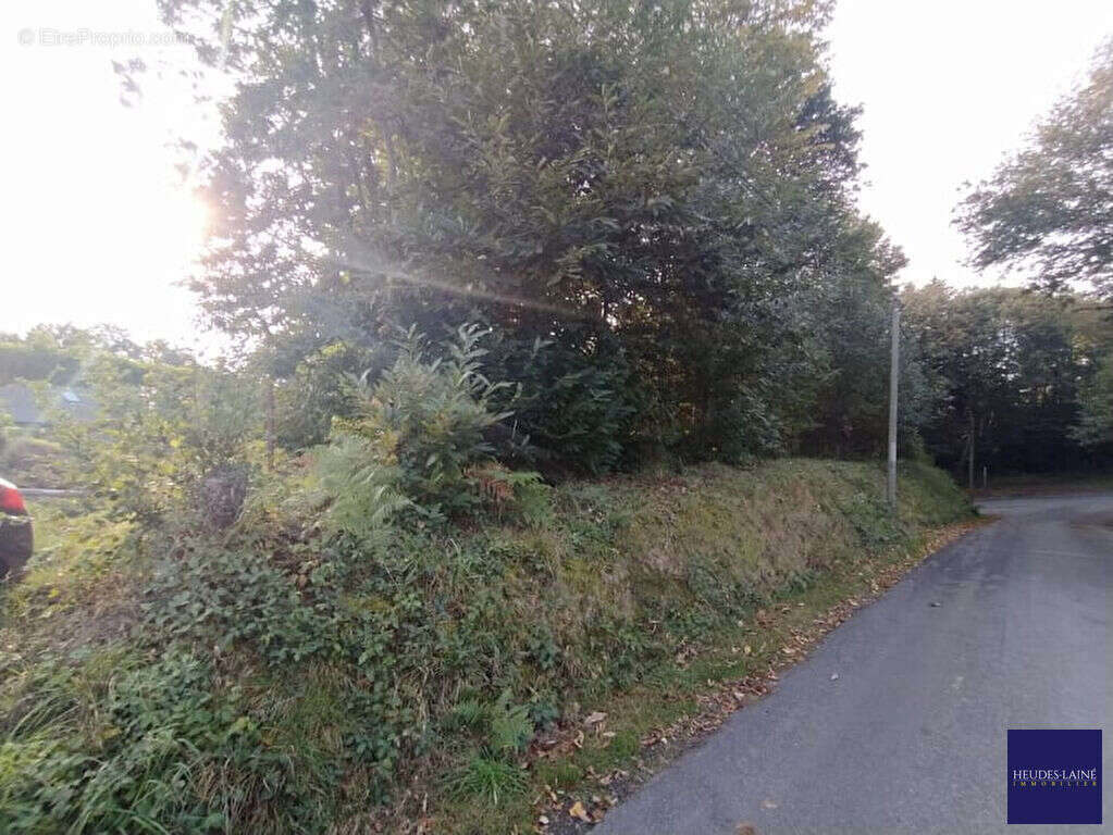 Terrain Grandparigny 950 m2 - photo 2