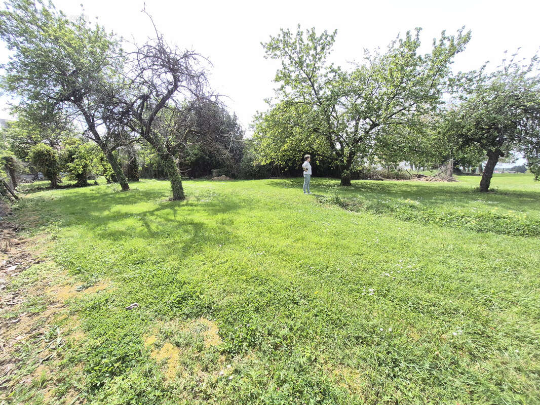 Maison avec dépendance et 2000 m2 terrain - photo 39