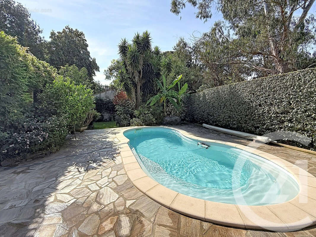 Maison 9 pièces 220 m² à vendre à San-Nicolao (20230) - photo 19