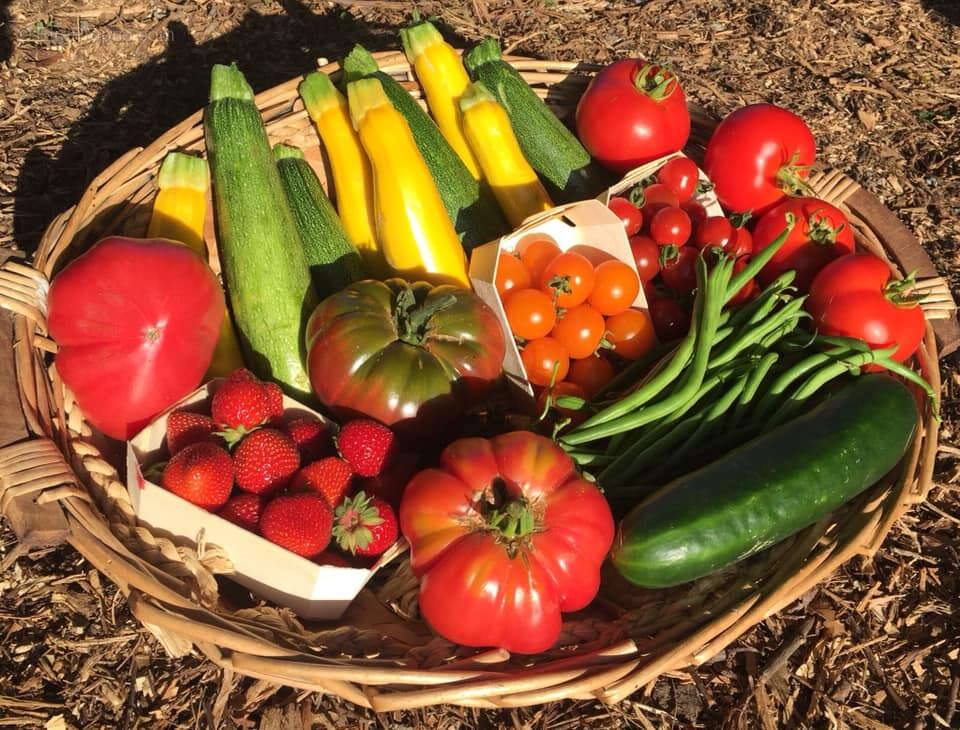 Maison à PLENEUF-VAL-ANDRE