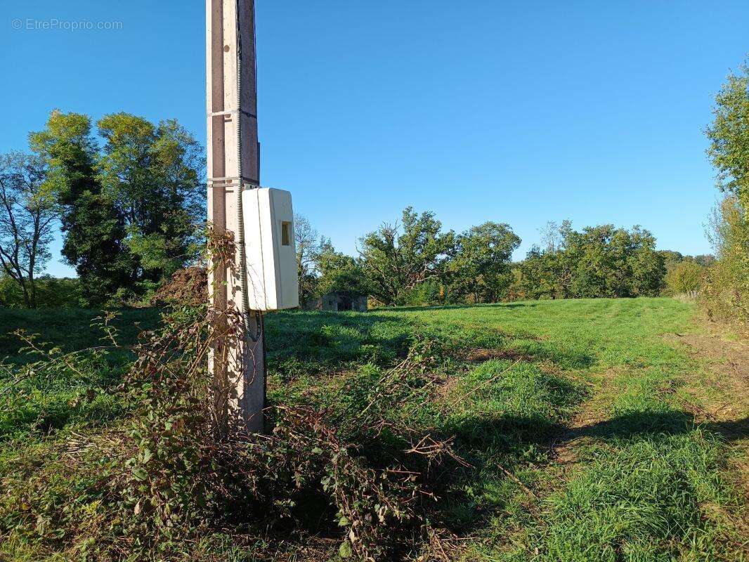 Terrain à MONTDURAUSSE