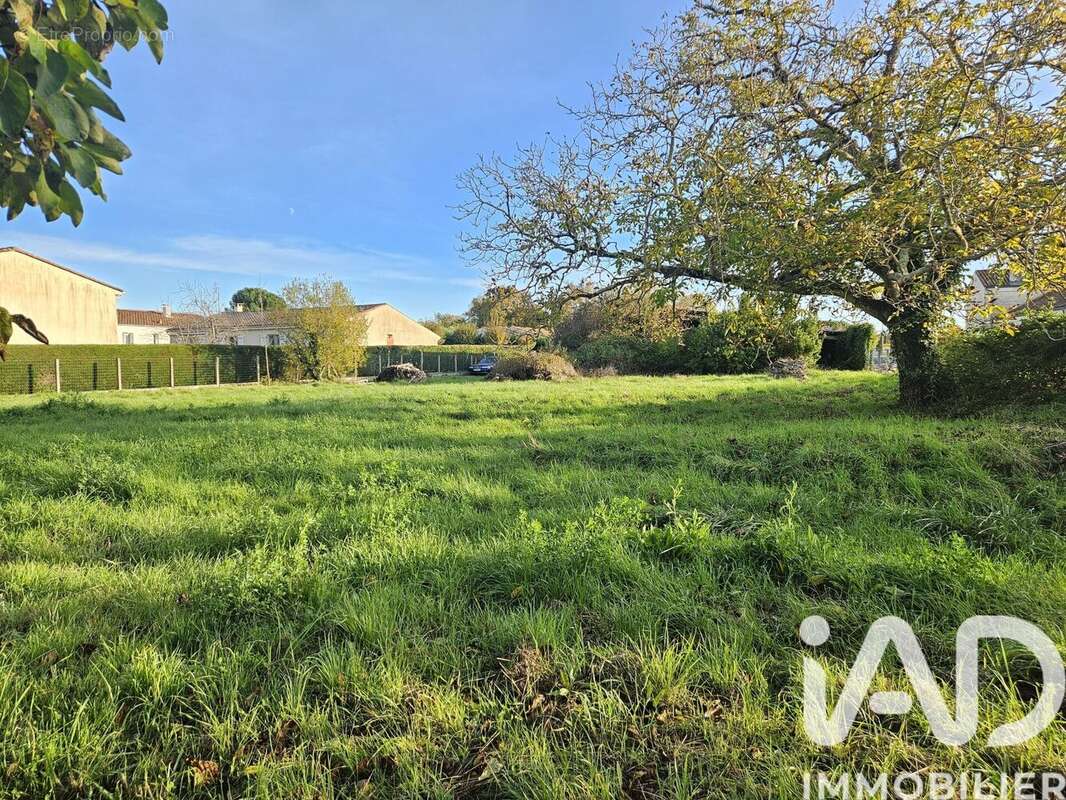 Photo 3 - Terrain à BUSSAC-SUR-CHARENTE