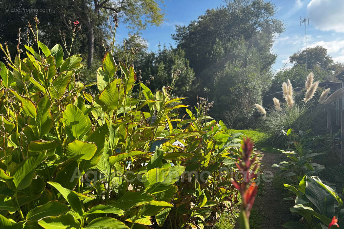 Maison à SAINT-VIVIEN-DE-MEDOC