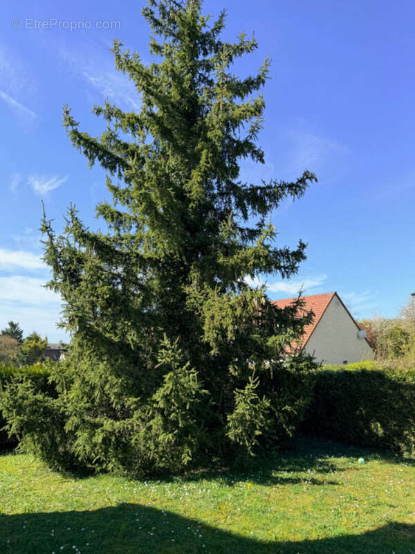 Maison à MAREIL-SUR-MAULDRE