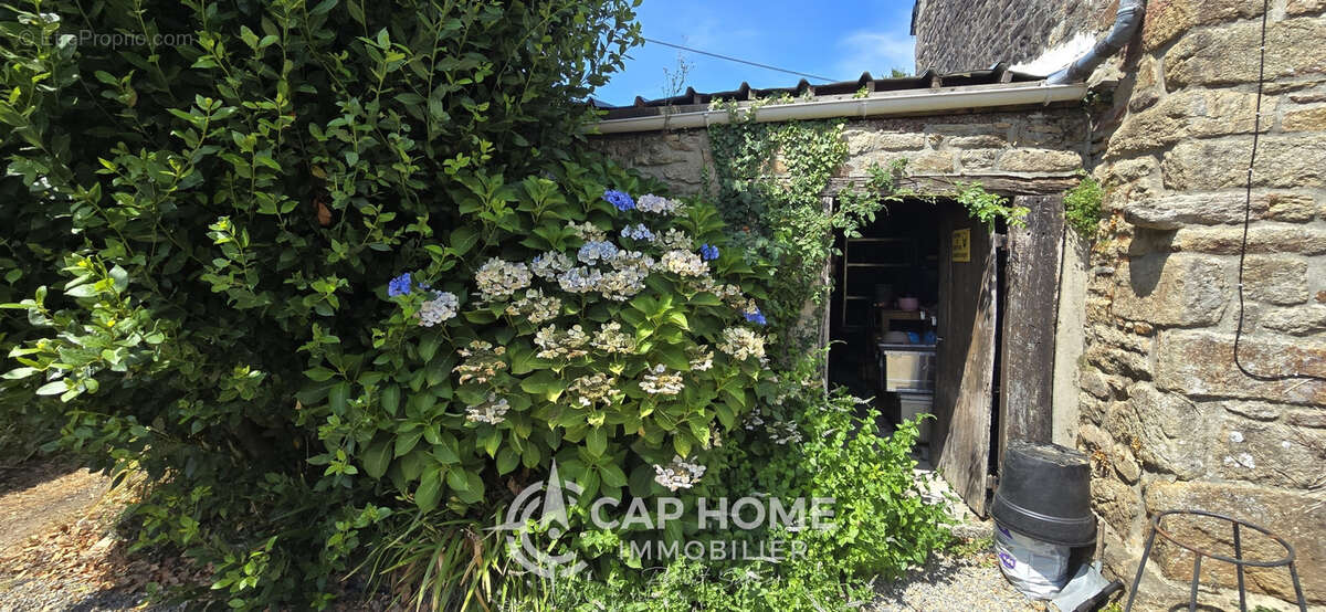 Le calme de la campagne ! - photo 6