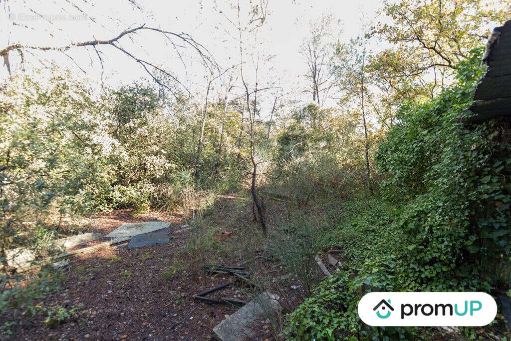 Terrain à LE CANNET-DES-MAURES