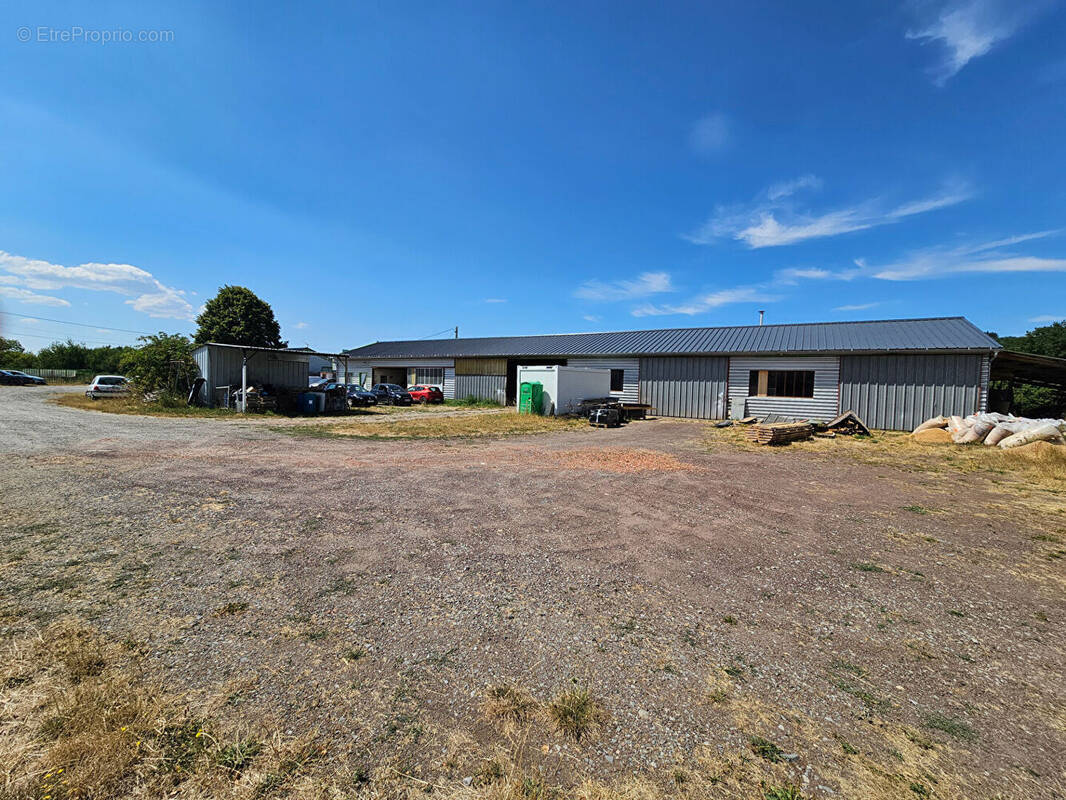 Commerce à SAINT-ANGEL