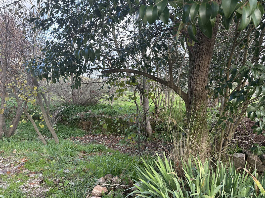 Maison à PIERREFEU-DU-VAR