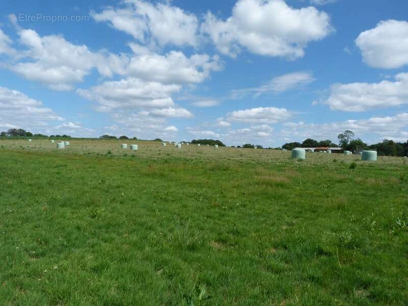 domaine agricole de 70 hectares d’un seul tenant avec bâtiment agricole et hangar - photo 7
