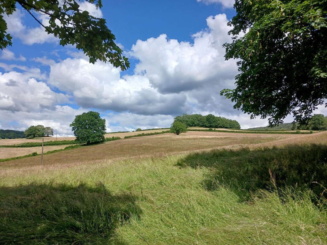 Exclusivité , maison de famille avec des grandes dépendances, entre Le Lac de Crescent et Lormes, Morvan à moi - photo 13