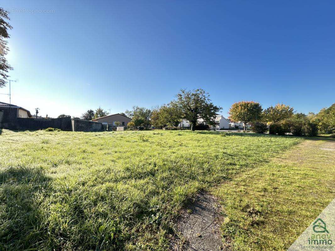 Terrain à CHATEAUNEUF-SUR-CHARENTE