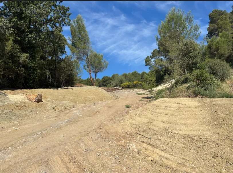 Figanières – terrain agricole et forestier de plus de 9 hectares - photo 13