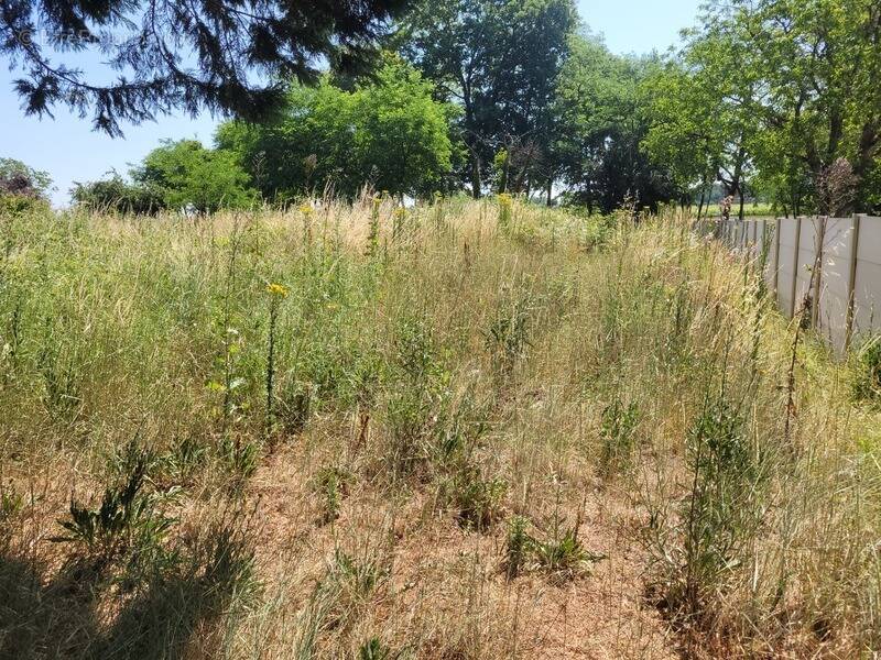 Terrain à CISSAC-MEDOC