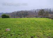 Terrain à LES GRANDES-VENTES