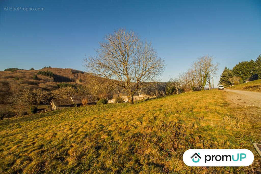 Terrain à SAINTE-FORTUNADE