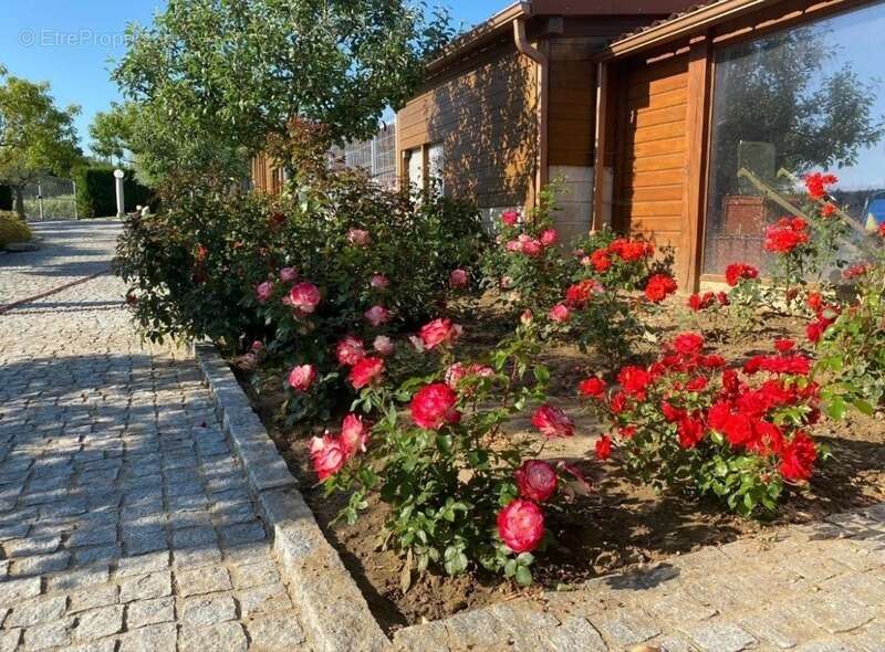 Domaine  à vendre 22 pièces - photo 17