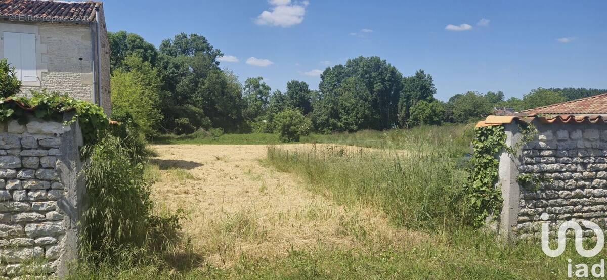 Photo 1 - Terrain à VARAIZE