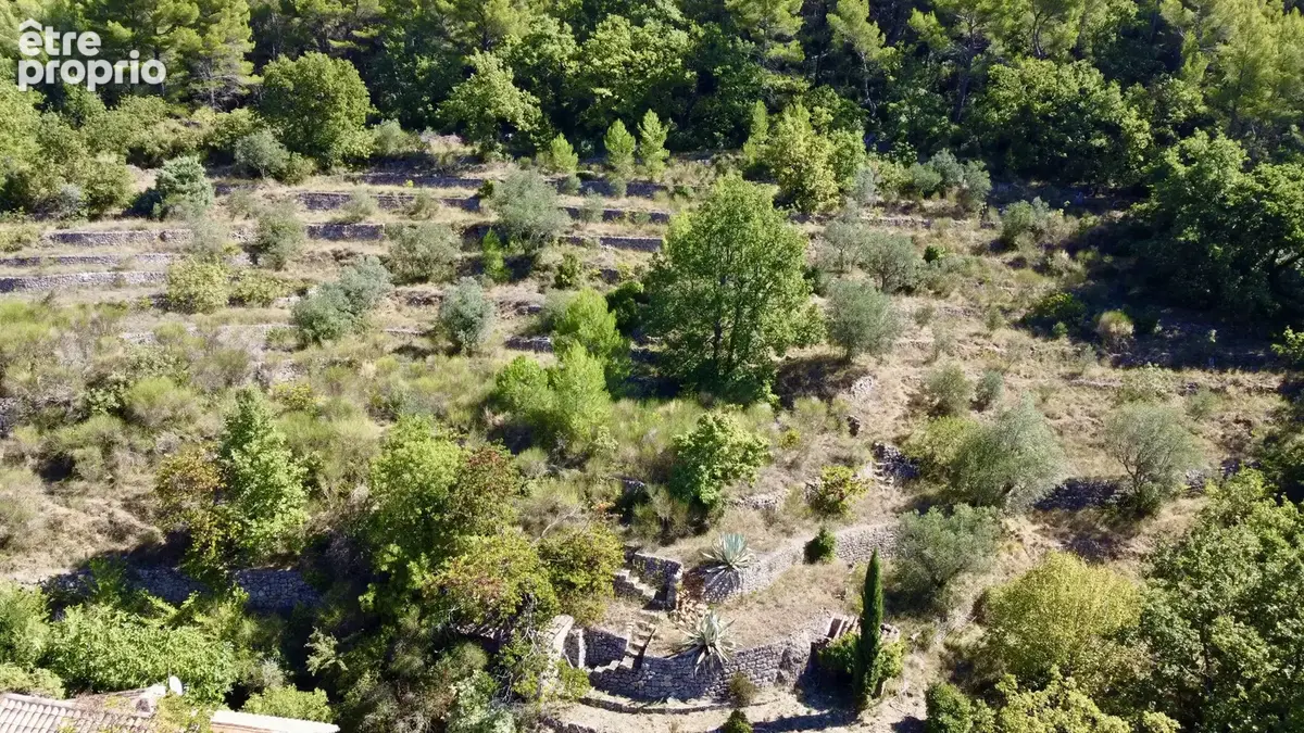 Propriété de caractère à Seillans – Un cadre de vie idyllique - photo 7