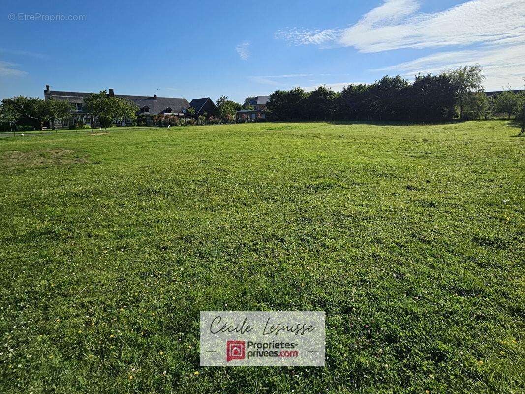 Terrain à SAINT-ANTOINE-LA-FORET