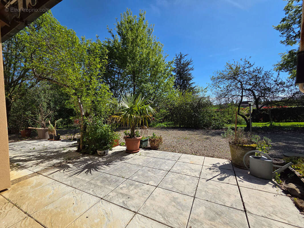 Maison à SAILLENARD