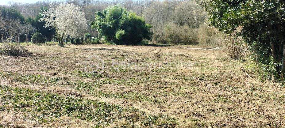 terrain constructible - photo 3