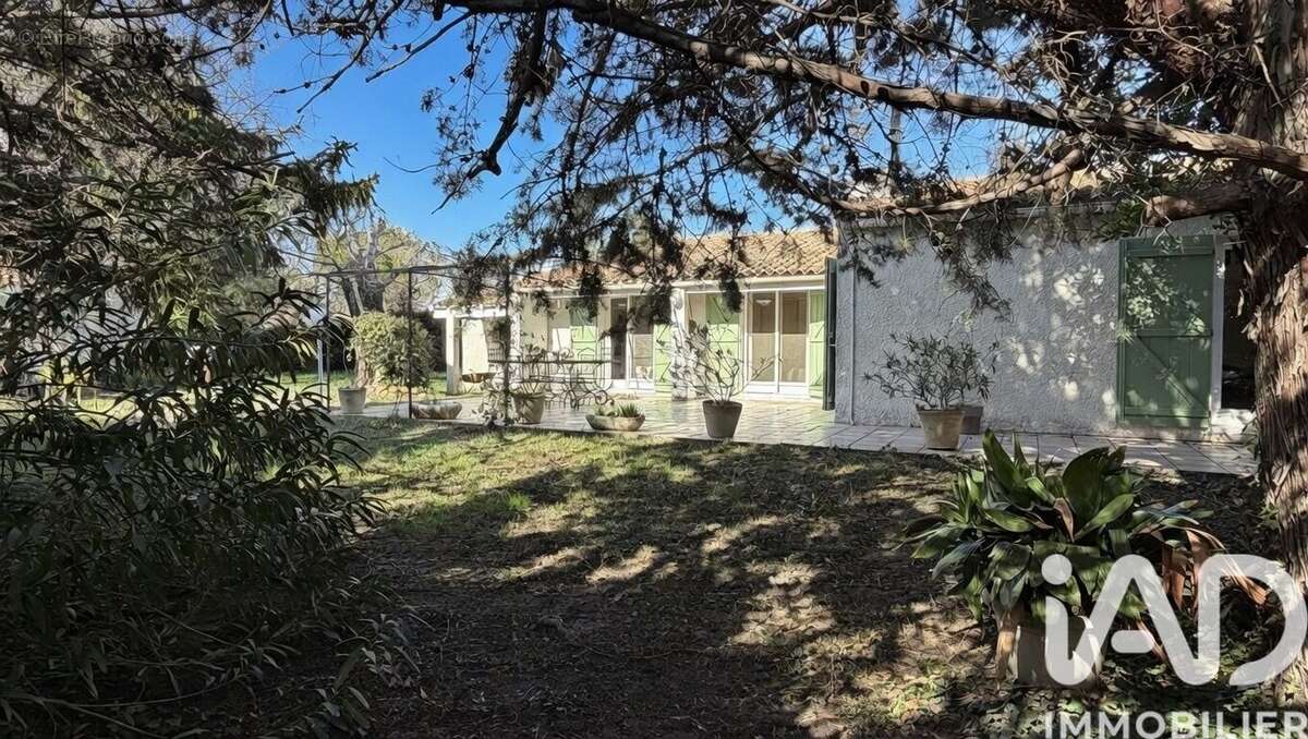 Photo 6 - Maison à MORIERES-LES-AVIGNON