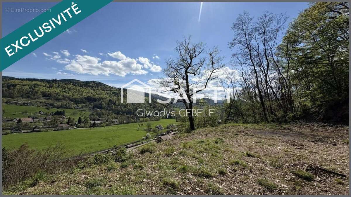 Photo 4 - Terrain à LUTTENBACH-PRES-MUNSTER