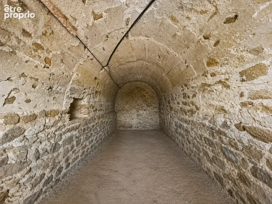 Propriété historique 312 m2 élevée sur caves voûtées, garage et plus de 1 000 m2 de terrain - photo 30