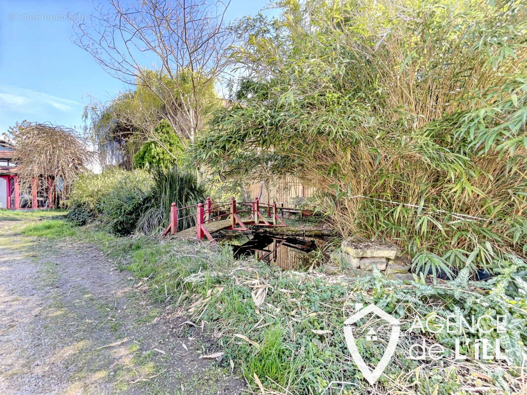 Maison à BALDENHEIM