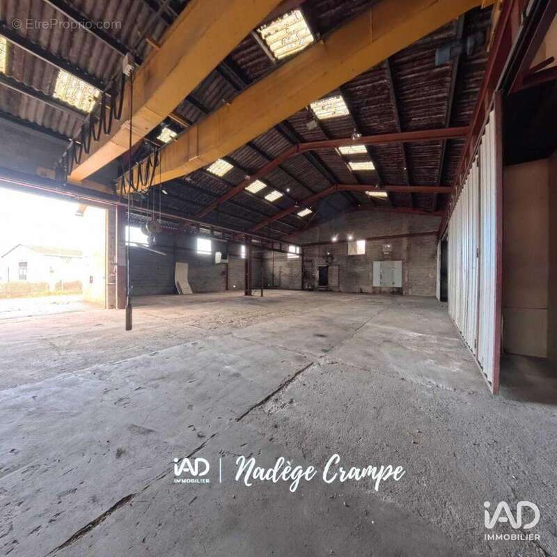 Photo 6 - Commerce à IBOS