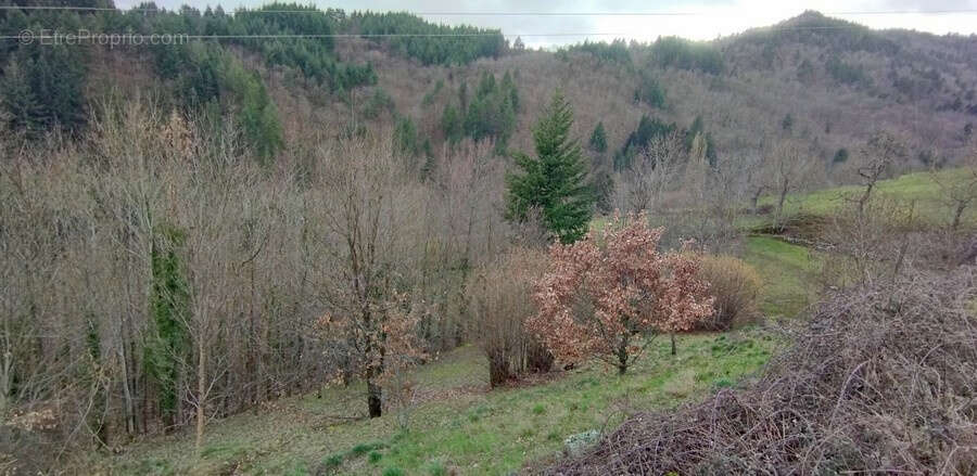 Maison à LE CHEYLARD