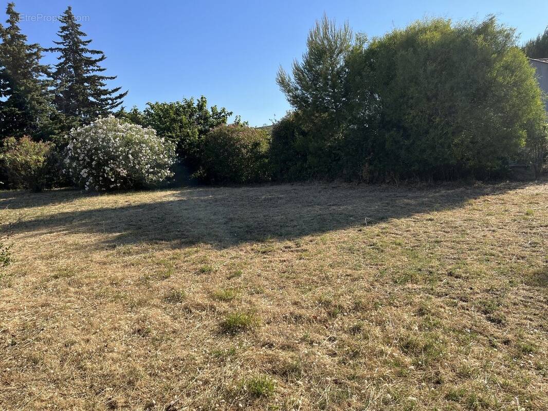 Terrain à LOUPIAN