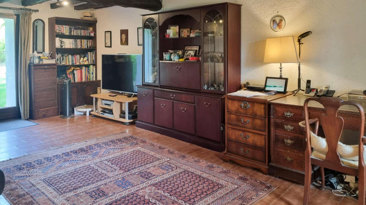 salon 2 - Maison à PEYREFITTE-DU-RAZES